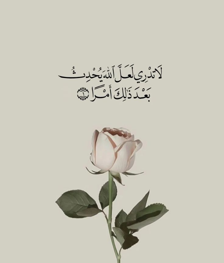 رِسالة لك🤎..