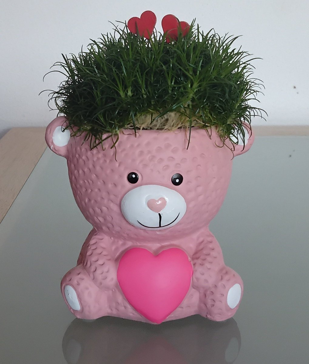 Happy mother's day from Germany ❤️❤️❤️❤️