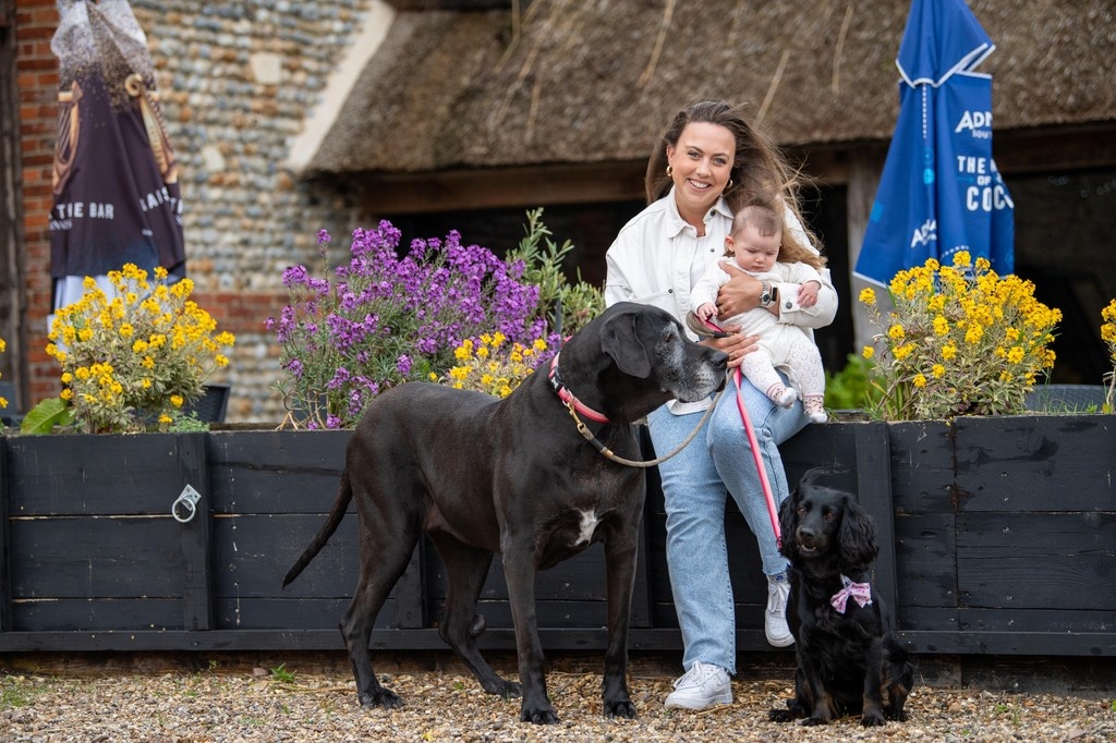 East Ruston Cottages tweet media