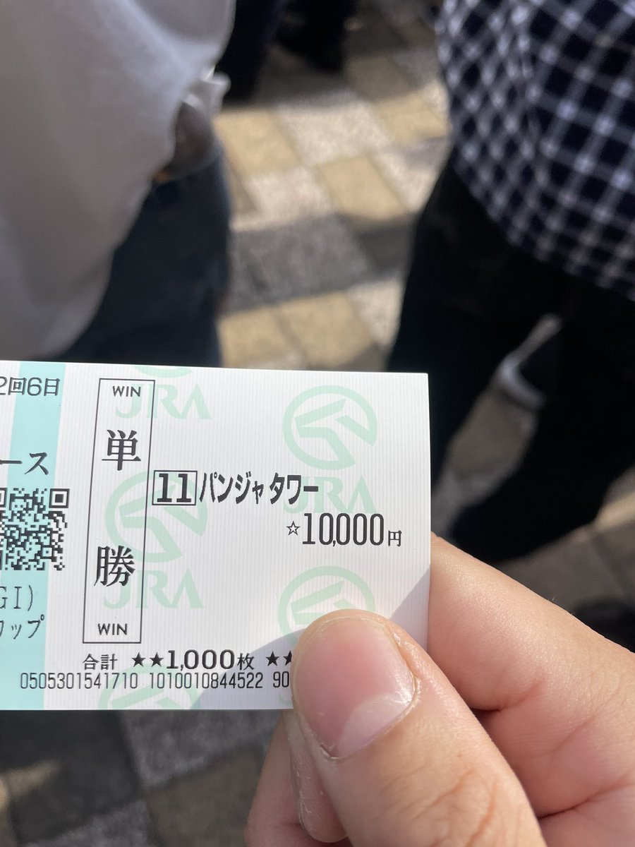 これがカメの力