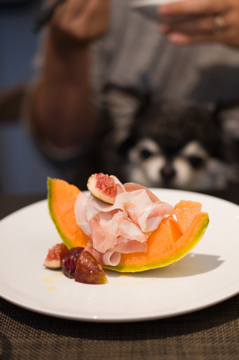 creamu's tweet image. 今日は新しく開拓した、ペットも行けるフレンチランチ。2月にできたばかりで、オーナーシェフも素敵な方で美味しく楽しめました。

#french #daikanyama #代官山ランチ