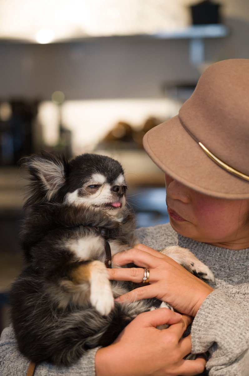 creamu's tweet image. 今日は新しく開拓した、ペットも行けるフレンチランチ。2月にできたばかりで、オーナーシェフも素敵な方で美味しく楽しめました。

#french #daikanyama #代官山ランチ