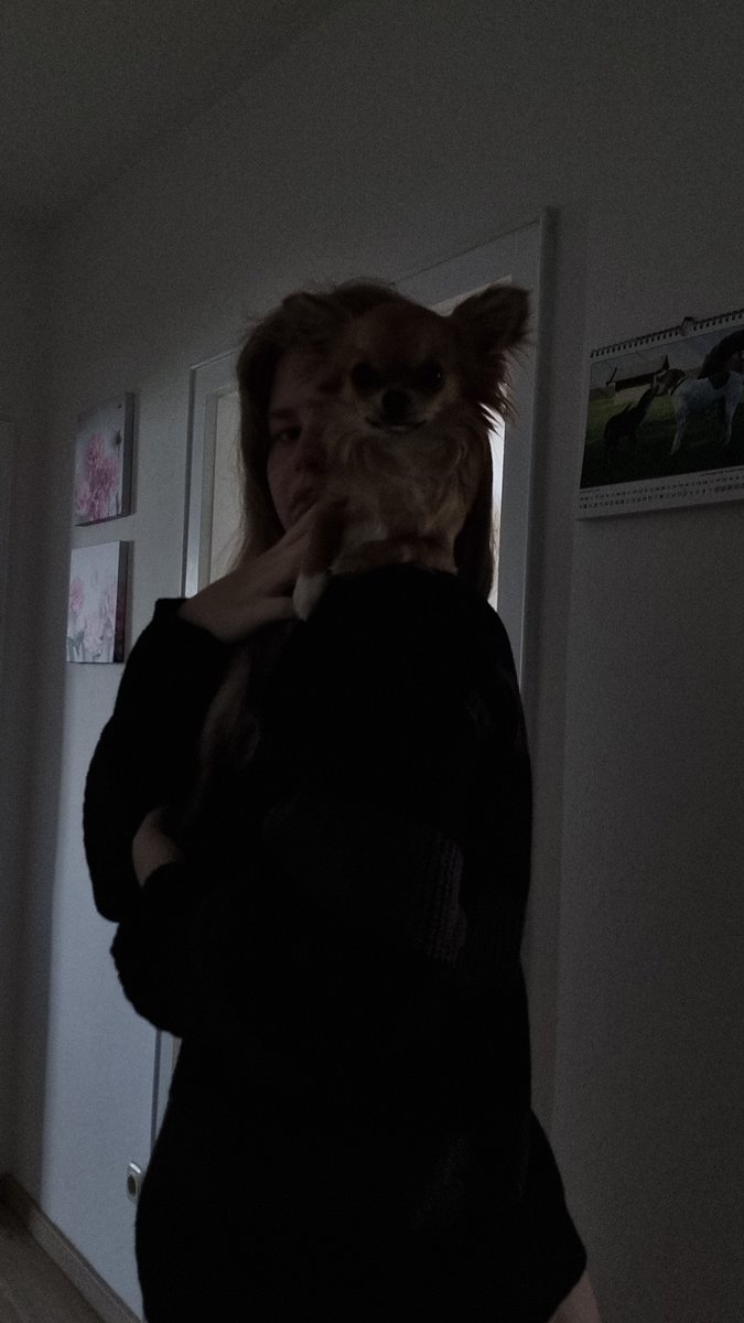 annaimfokus's tweet image. Ich tu so, als wär das hier nur ein cozy Bild mit Hund.
Instagram: Es ist verd@chtig s3xy.
Ich: Ich hab einfach ein Pulli an.
#dunklemagie #hundepower #realvibes