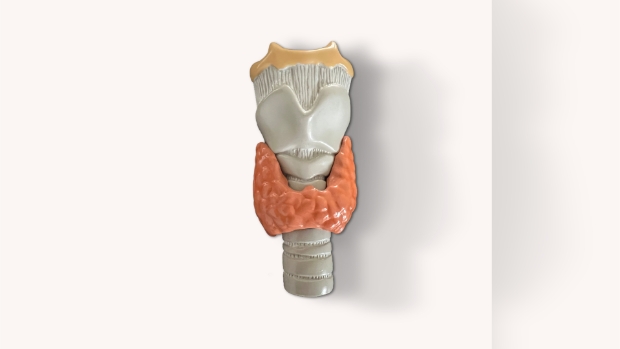 Aandacht voor de schildklier in Gelre ziekenhuizen -  contactzutphen.nl/l/517573