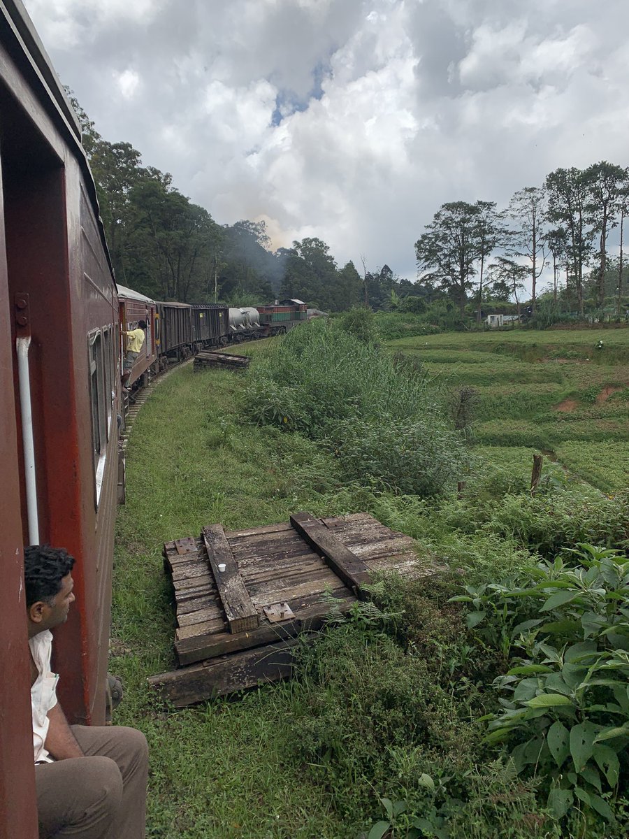 marcdaywalker's tweet photo. Sri Lanka &amp; Maldivas 2025 https://t.co/oiIcxUiDpa