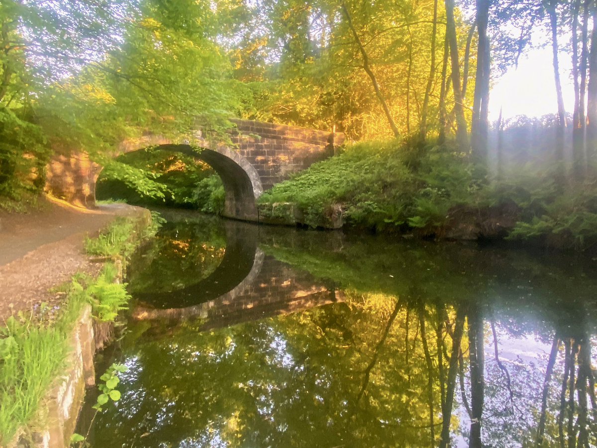 BrianParry68's tweet photo. Gorgeous light along the canal this morning

 #StormHour #ThePhotoHour #sunrise #Lancashire #trees #canal https://t.co/oBKCgw5vuN