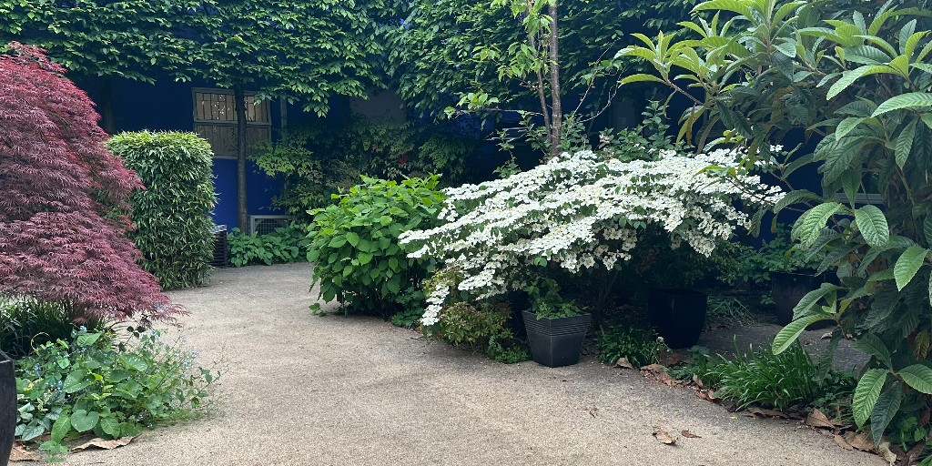 Frimley Health NHS Foundation Trust ๐ (@frimleyhealth) on Twitter photo Our Time Garden at #FrimleyParkHospital, provided by <a href="/FHealthCharity/">Frimley Health Charity ๐</a>, is for use of patients who are at a palliative stage in their illness or approaching the end of their life. It is bookable through our palliative care team:
fhft.nhs.uk/services/palliโฆ
#DyingMattersAwarenessWeek Our Time Garden at #FrimleyParkHospital, provided by <a href="/FHealthCharity/">Frimley Health Charity ๐</a>, is for use of patients who are at a palliative stage in their illness or approaching the end of their life. It is bookable through our palliative care team:
fhft.nhs.uk/services/palliโฆ
#DyingMattersAwarenessWeek