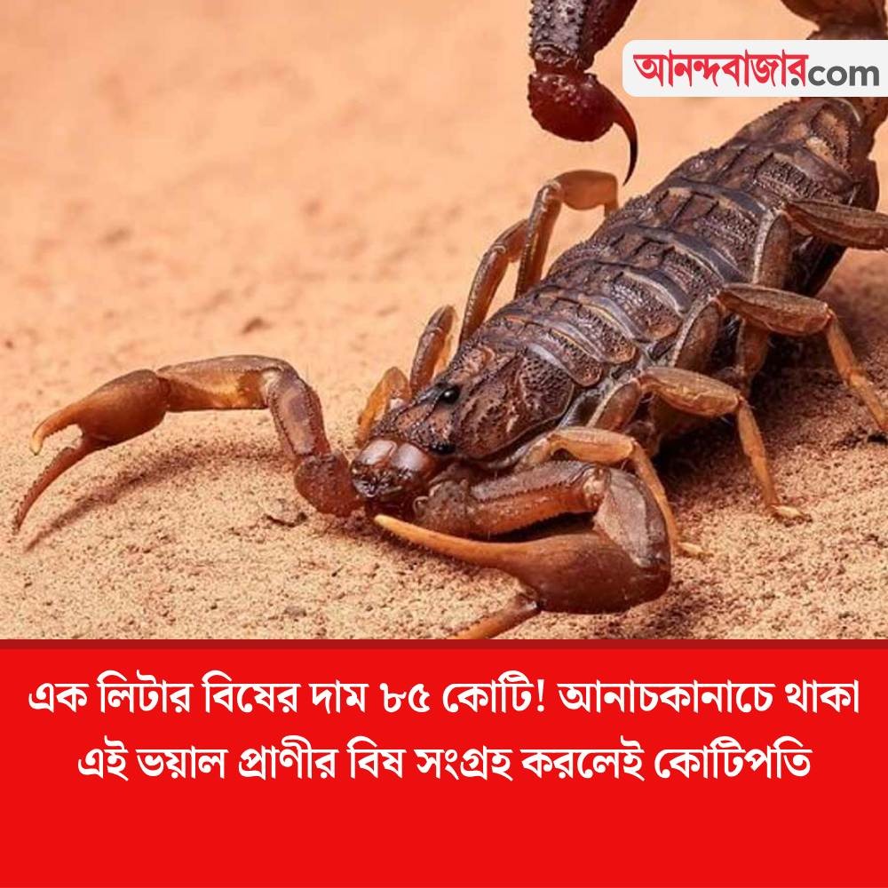 MyAnandaBazar's tweet image. চেষ্টা করে দেখবেন নাকি?
#mostexpensive 
anandabazar.com/viral/the-veno…