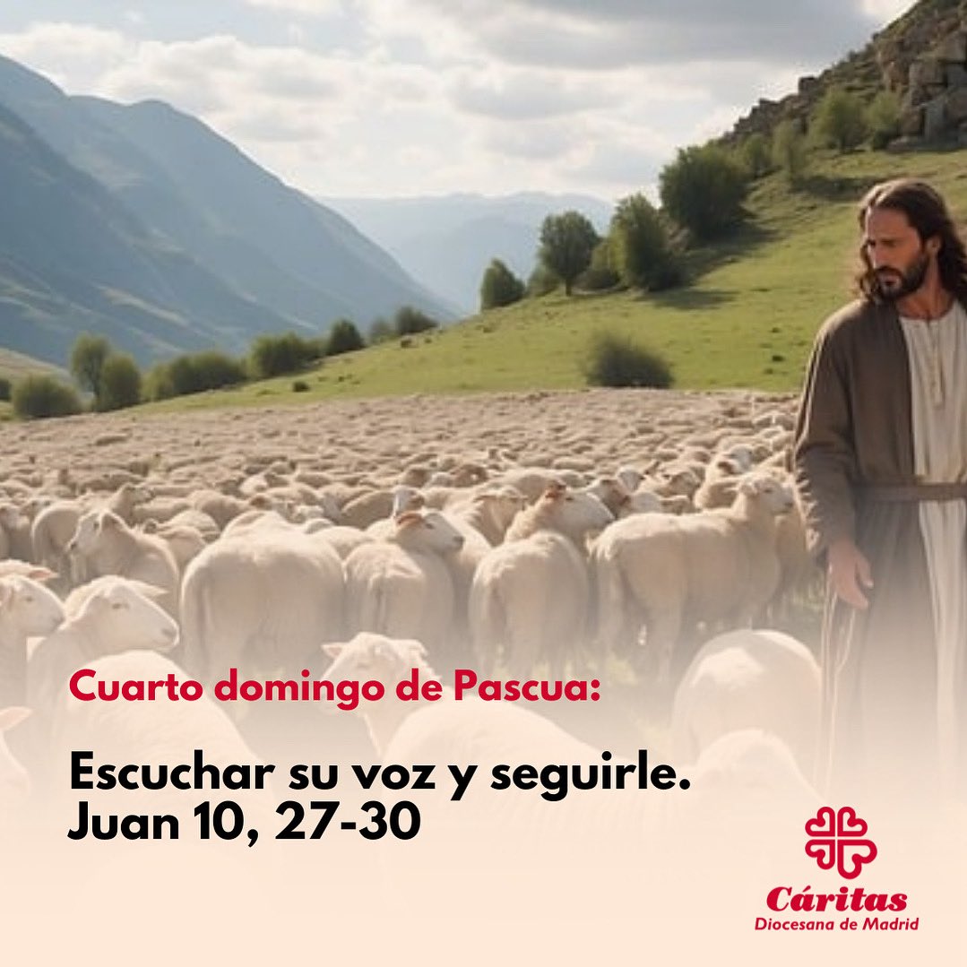 🐑«Mis ovejas escuchan mi voz… yo las conozco y ellas me siguen» (Jn 10,27)

Escuchar y seguir. Esa es la llamada.
Escuchar la voz de Jesús en quienes sufren.
Seguir sus pasos hacia quienes más necesitan esperanza.
🙏Confiar en que estamos en sus manos, y nadie nos arrebatará de
