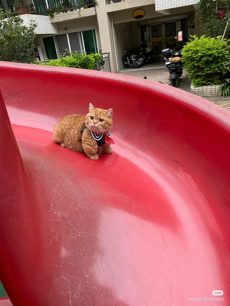 weeeeeeeeee
