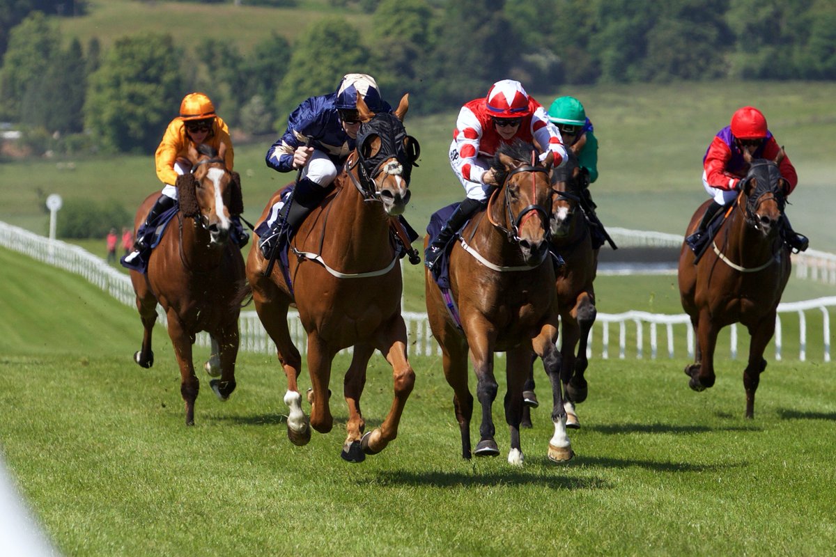 Going update for Tuesday's fixture:
GOOD to FIRM (good in places)
Watering to maintain
Forecast - mostly dry and sunny - chance of shower tonight and tomorrow afternoon
Six races from 2.20pm sponsored by David Lucas Bookmakers - tinyurl.com/ayf2mcsy