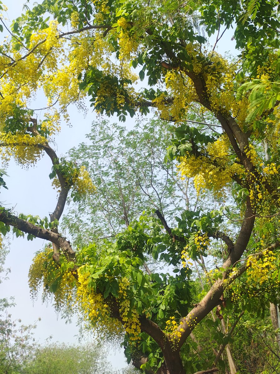 Tere_do_nainaaa's tweet photo. लोग तब तक नहीं 
खो सकते 
जब तक कोई-कहीं
उन्हें ढूंढता रहे।।

~किताबगंज 🌻

//@Kitabganj1 //
#सफर_ए_ज़िंदगी ✨
#CampusDiary https://t.co/qUkoyIAwej