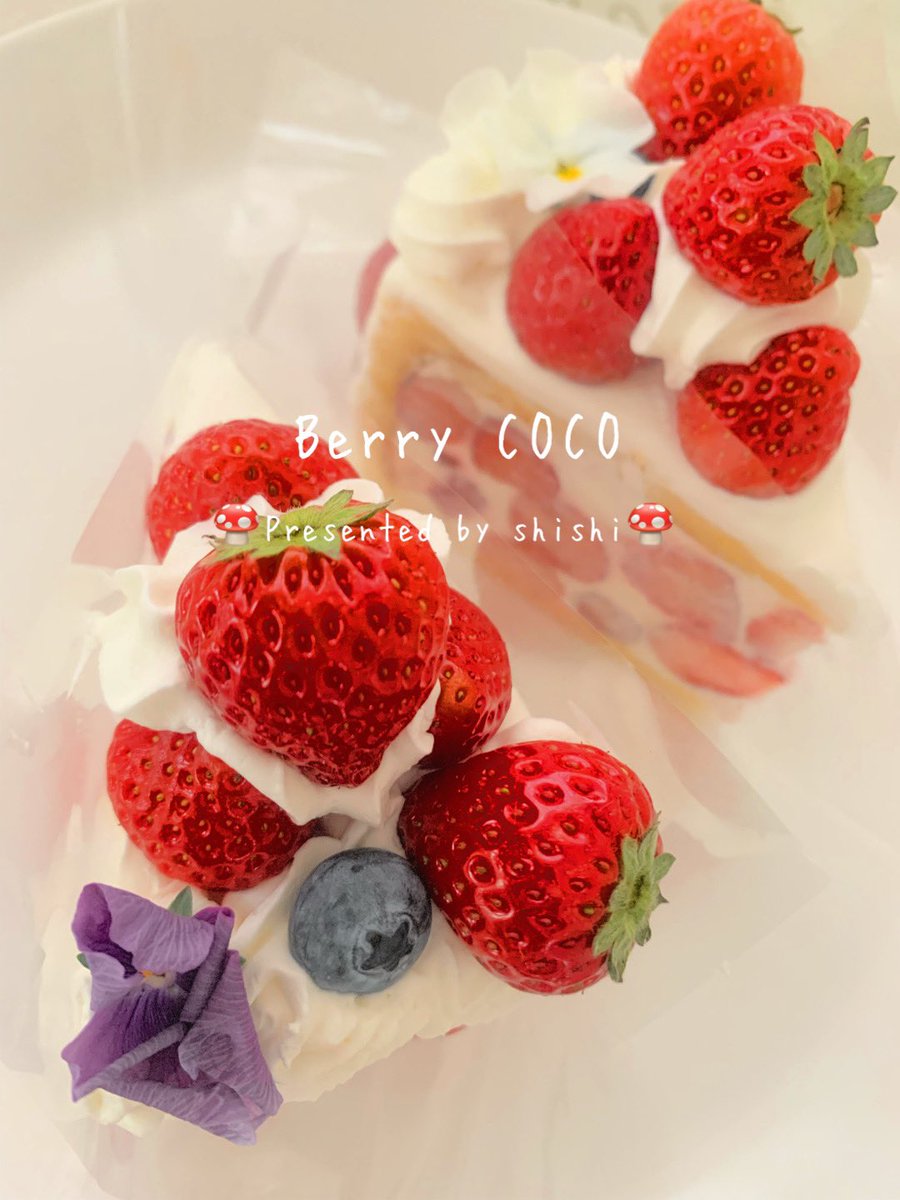 toramshishi's tweet photo. #BerryCOCO
#たっぷりいちご
全宇宙のmommyお疲れ様♡ https://t.co/SrJgIq1MeQ