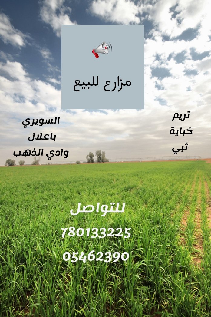tarimaqar's tweet photo. https://t.co/WLQTsfiDJg