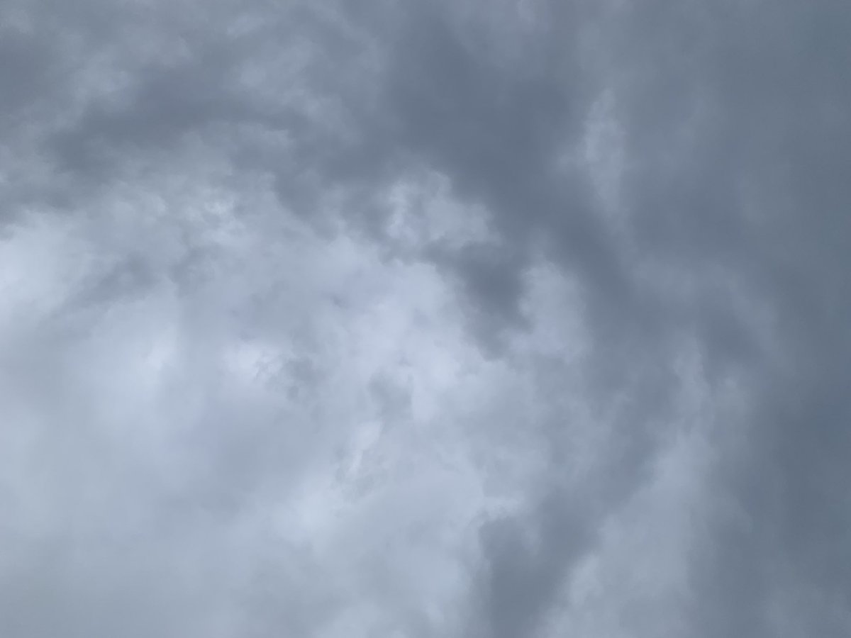 音楽の成績5評価中、2か3でしたね
音楽に評価されたら、平均点には届かないかもしれませんが、俺は死ぬまで音楽好きよ