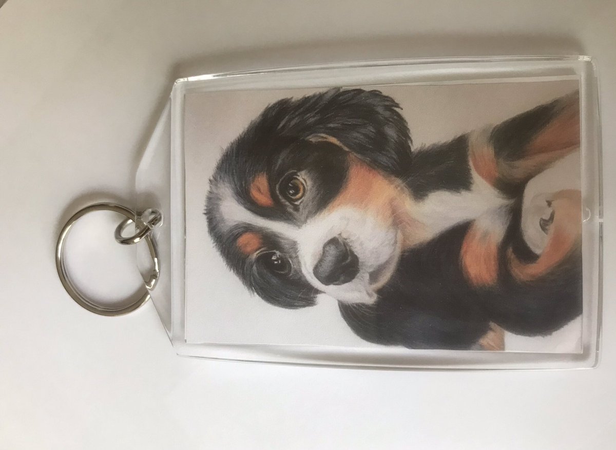 If anyone has had a pet portrait drawn by me in the past, I have all the drawings saved on my phone. So I can turn these actual portraits into Keyrings and fridge magnets for you. So if you’d like to order, you can do this on my Etsy store 👩‍🎨🎨 
artlilystore.etsy.com