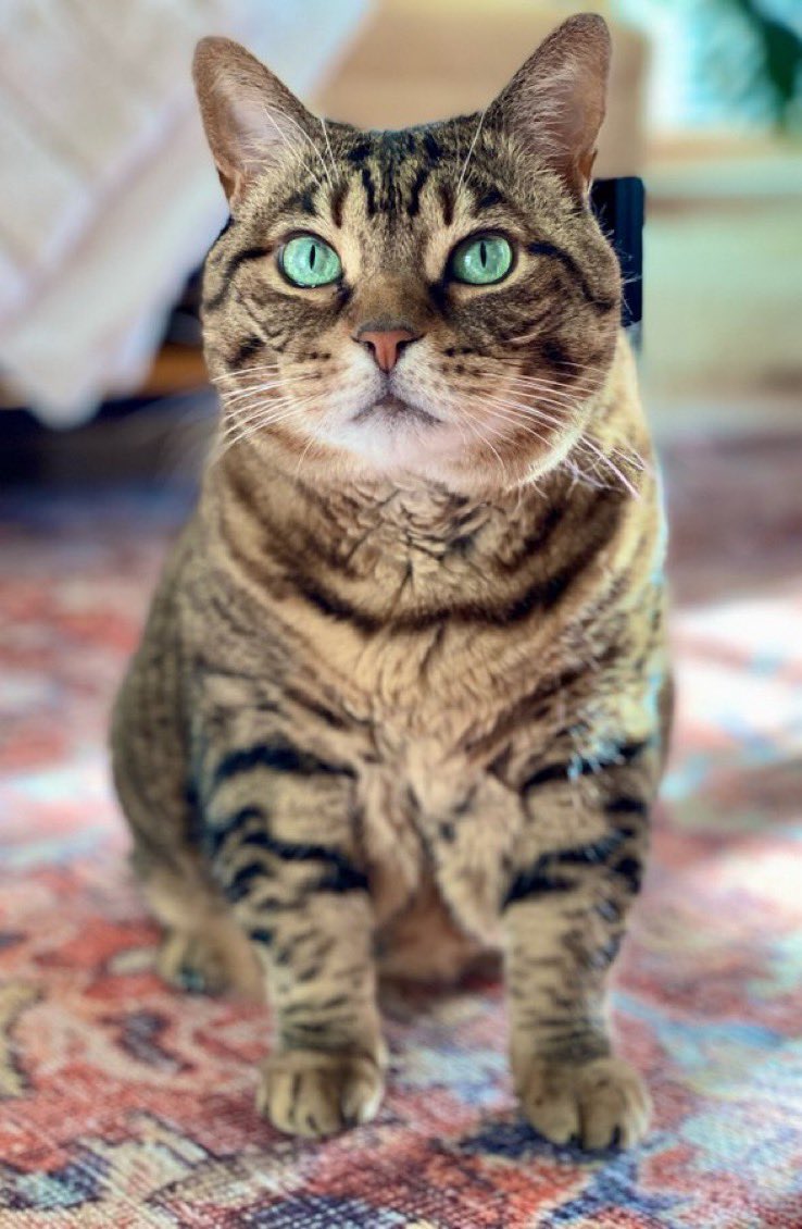 I rescued her. She saved me. 💚