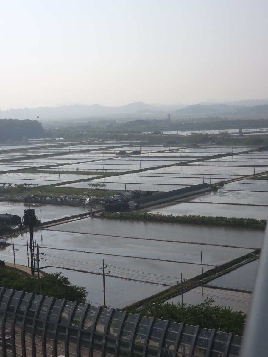 ddingga_P's tweet photo. 그 뭐냐...논뷰라고 하죠 https://t.co/RiRM7qGPX5