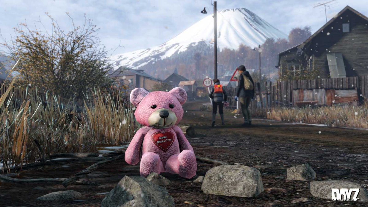 DayZ's tweet image. #HappyMothersDay 💞