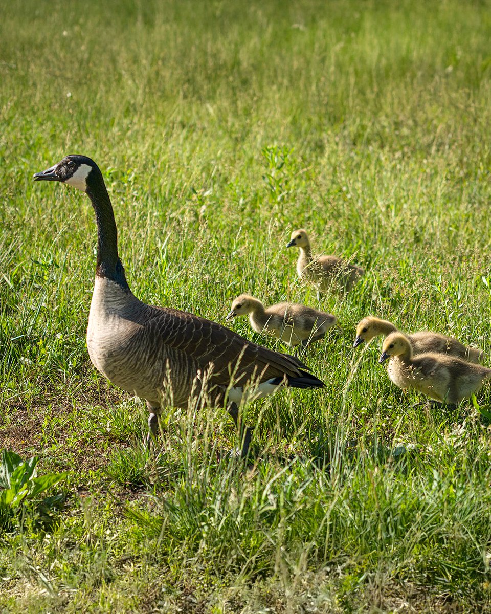 Happy Mother's Day to all! 💚