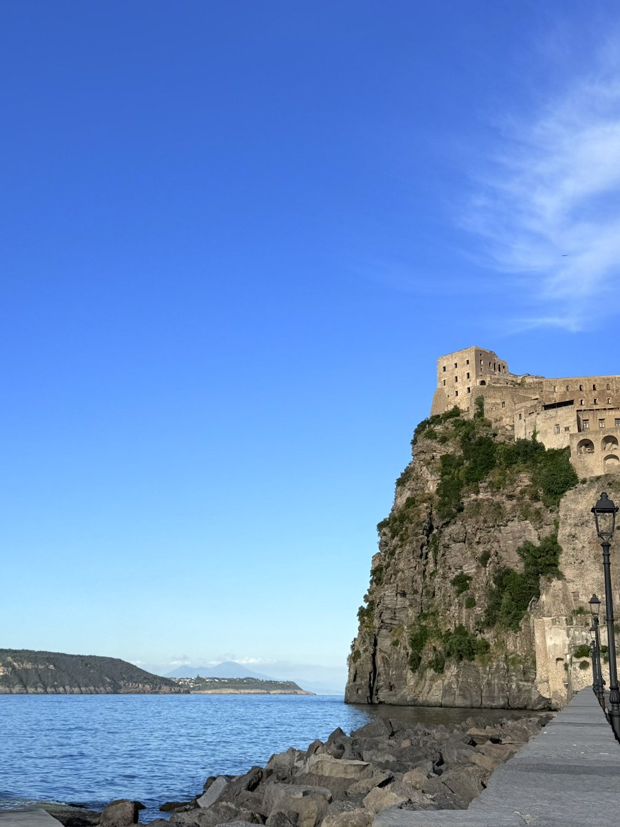 snwlprd.eth (@snwlprdwntsfrz) on Twitter photo 