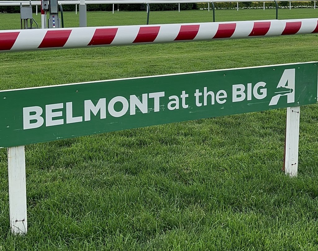 🌱 All scheduled turf races are ON the turf today.