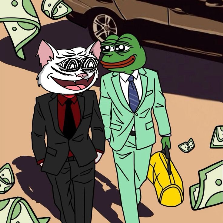 MacitheCat's tweet photo. Pepe and I have always been good buddies #PEPE #MACI https://t.co/tE9OrGApF9