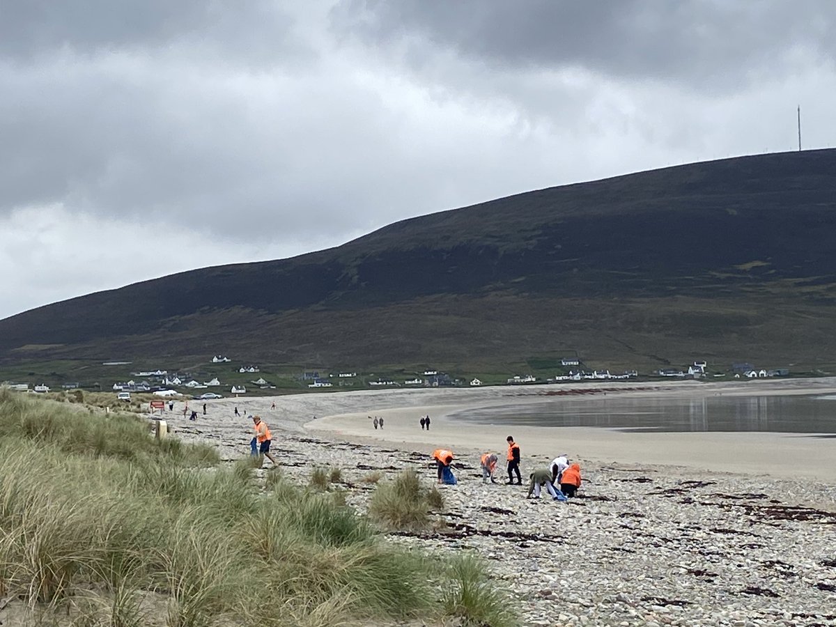 Noreen Curtis tweet media