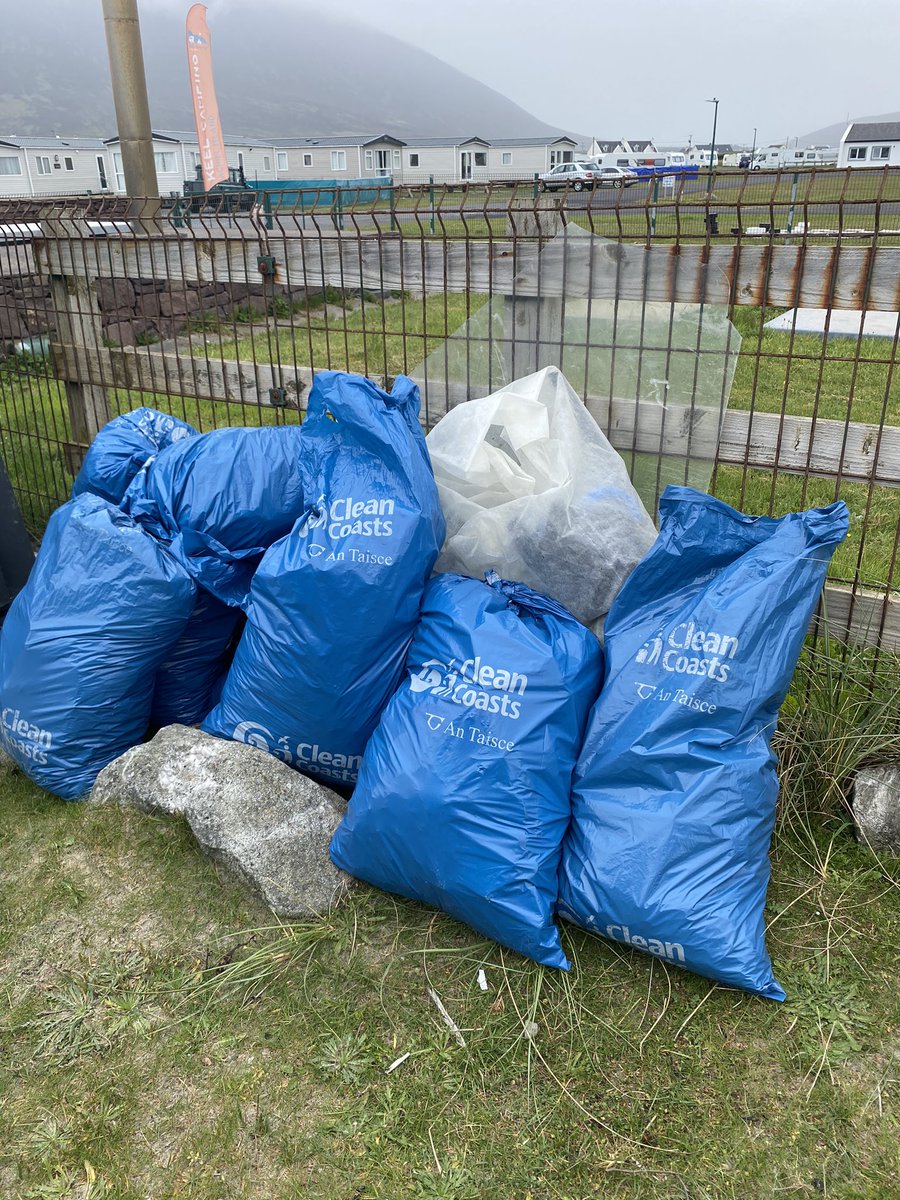 Noreen Curtis tweet media