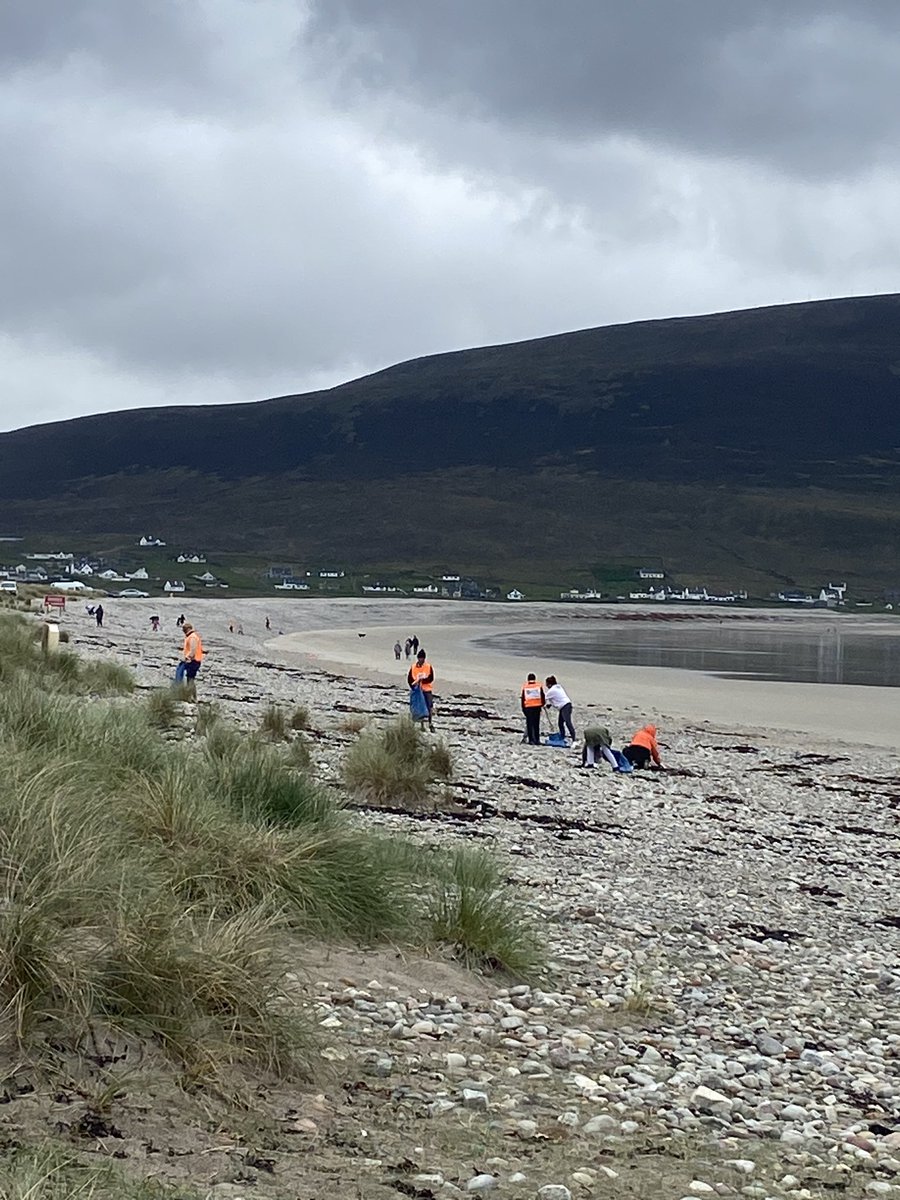 Noreen Curtis tweet media