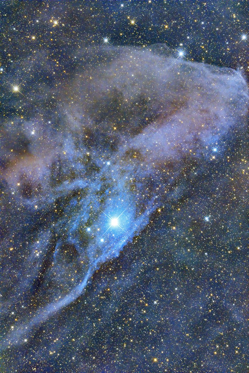 400光年彼方の青い馬頭星雲（Blue Horsehead Nebula）を撮影してみました。
青く輝くのは、さそり座ν星や周辺の恒星の光が周囲の塵に反射していると考えられています。宇宙の静寂と壮大さを感じられる、美しい反射星雲です。#IC4592 #青い馬頭星雲 #天体写真 #天体撮影 #反射星雲 #Astrophotography