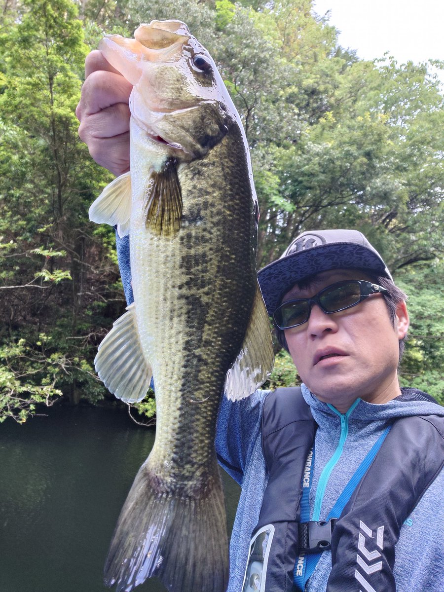 三島ダム　5月5日　小バス番外編
今日も元気に「アンチ・サイト」「アンチ・フィネス」！
終了15前に釣った魚。自分の中では「ぎりヨンジュー」。桟橋に遅刻しまいとそっこー写真を撮って計測したところ、無念のサンキューw
まぁせっかく撮ったもんで。　
本日は合計2本のみ。