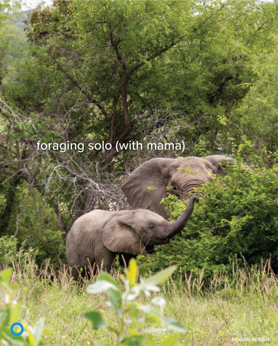Conservation Intl tweet media