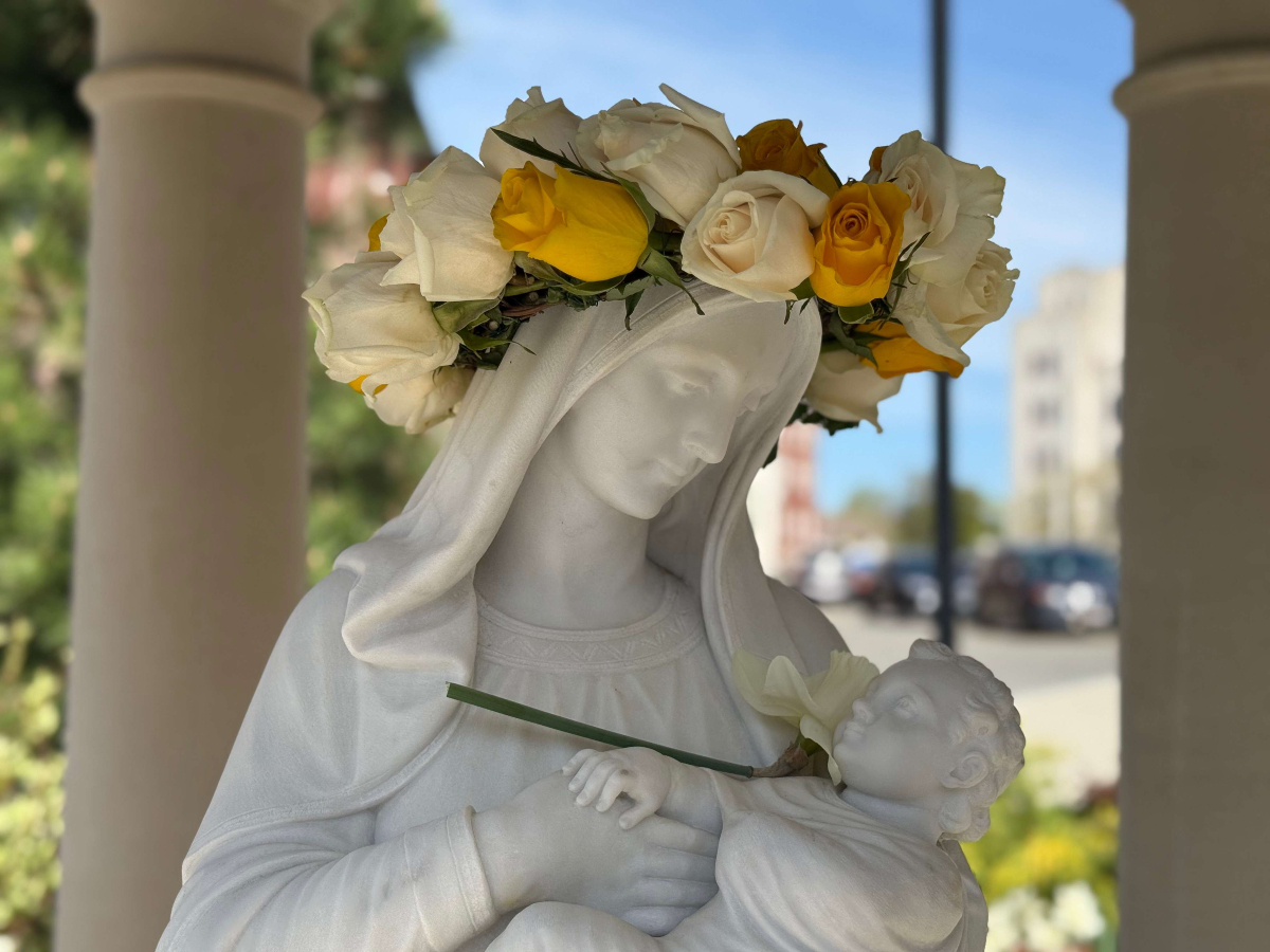 Today, we honor all mothers, and especially Mary, the Holy Mother of God, the most loving and faithful mother of all.
May her strength, compassion, and unwavering faith be a guiding light to mothers everywhere. 🌹💐
