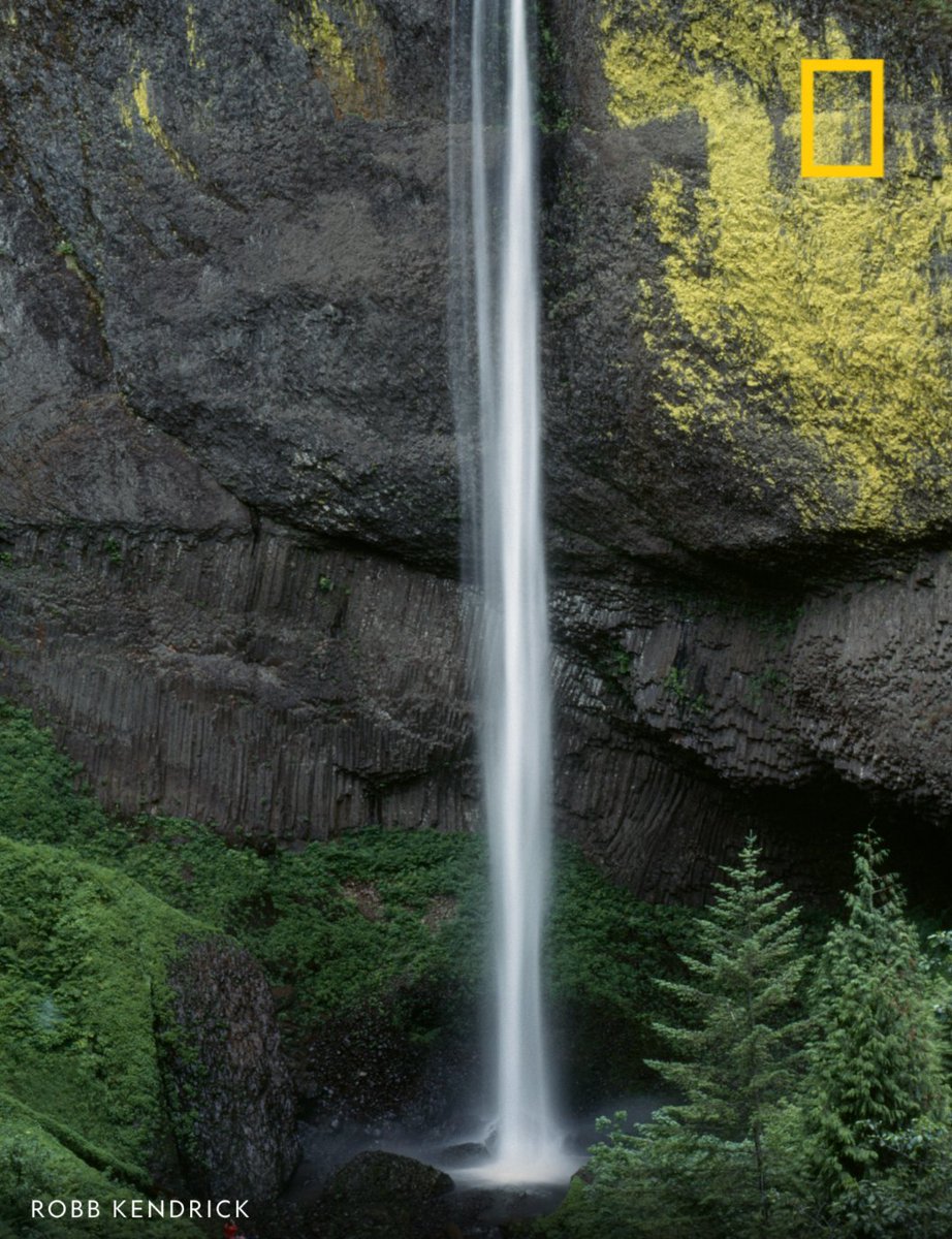 Plunging 224 feet (68 meters) over columnar basalt, it's hard not to fall for the natural beauty of Latourell Falls.
