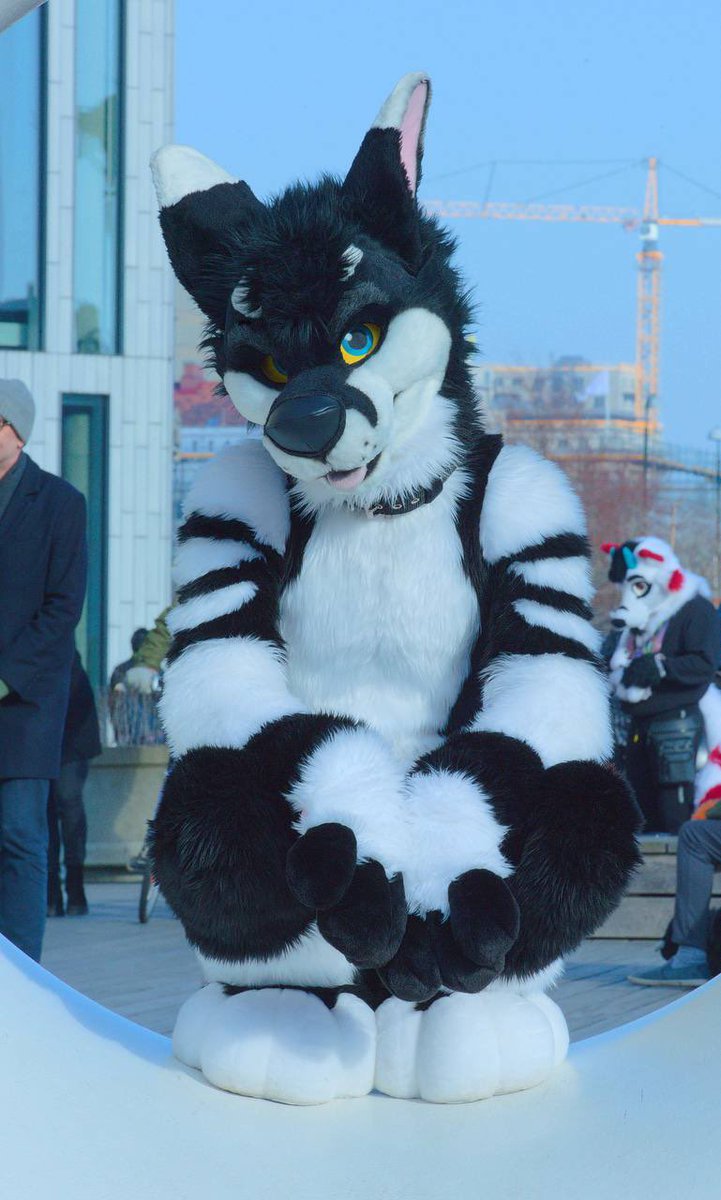 Sly Fobie 😏

📸: <a href="/KoviDeerDoge/">Kovi ^_−☆</a>