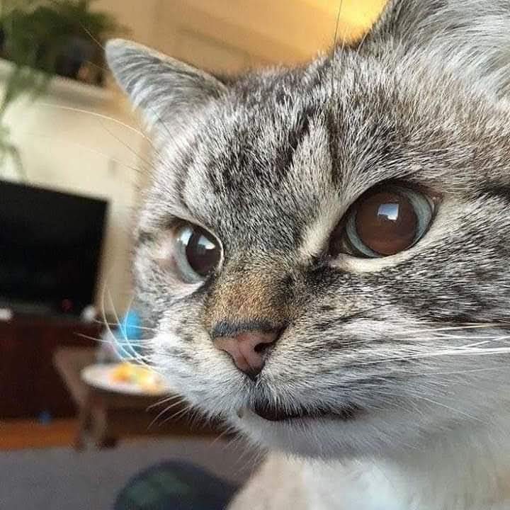 mr_gh0st313's tweet image. لما تقرأ ال Logs وتربط الخيوط ببعضها ومتعرفش تحل ال bug برضو