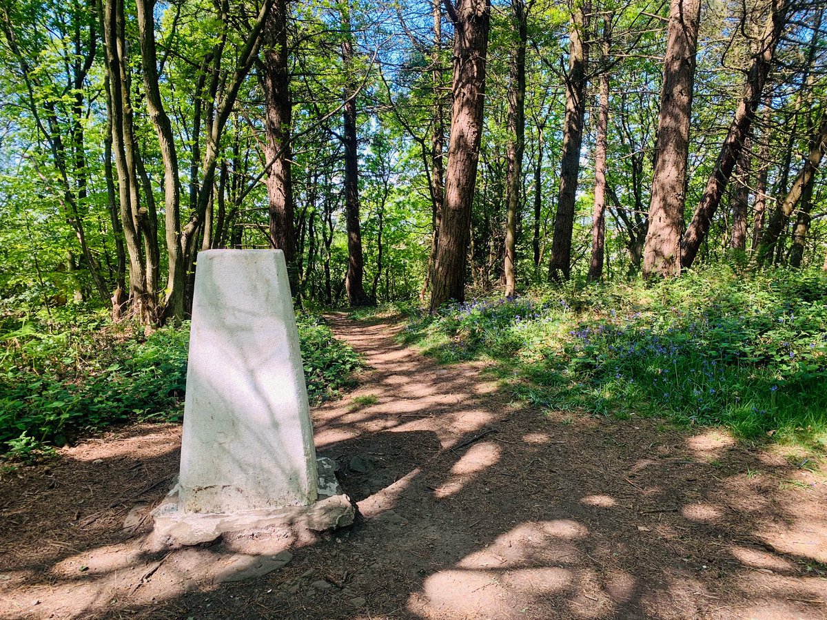 Greno-Woods Trig-Point.
From yesterday Greno-Woods circular

#TrigPoint #GrenoWoods #Grenosidewoods  #TheOutdoorCity