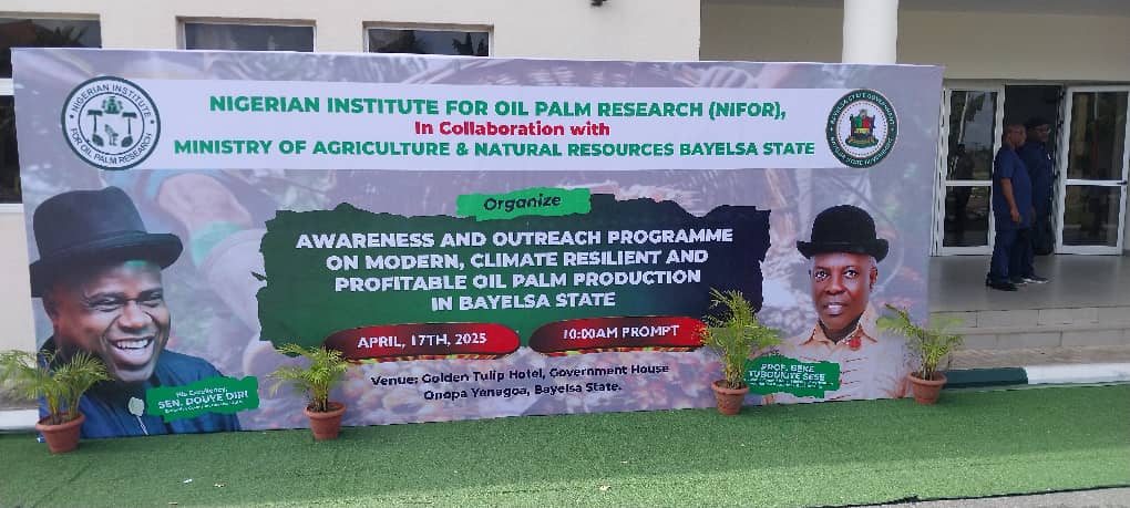 nifor_gov_ng's tweet photo. Awareness and Outreach programme by Nigerian Institute for Oilpalm Research, NIFOR on modern, climate resilient and profitable oil palm production in collaboration with Bayelsa state government. 
#nifor #oilpalm #Coconut #raphiapalm #datepalm #shea #bayelsa https://t.co/yRA6CfpNnI