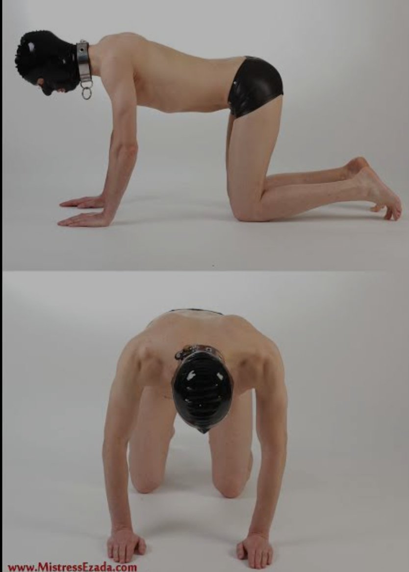 Wich position you like when u front of your dream mistress? <a href="/Goddess_heena/">👠 ＤＯＭＩＮＡ ＨＥＥＮ 👠</a> 

#footfetish  #stinkyfeet #feetworshi‌p <a href="/falcoRTW/">🦅 𝙁𝘼𝙇𝘾𝙊 𝙁𝙄𝙉𝘿𝙊𝙈 𝙍𝙏𝙒 🦅</a> <a href="/rt_feet/">Feet RT PROMO (Road to 100K)</a> <a href="/Brun0Parent/">BRUNO THE RT SUB</a> <a href="/footslavepig/">RT foot piggy 11K</a> <a href="/RTLovingFeet/">MEDOR 🐶</a> <a href="/marcotitor/">Female Supremacy</a> <a href="/FeetForumArea/">Foot Fetish Forum</a> <a href="/Feetopia/">LiveLifeFeet</a> <a href="/Guglielmo_rt/">GuglielmoRt</a> @GhostSlaveRT <a href="/RTDoms/">FemDom Promo</a> <a href="/dommes_rt/">dommesRt</a> <a href="/RT__feet20/">RT Subby 1.2k</a>