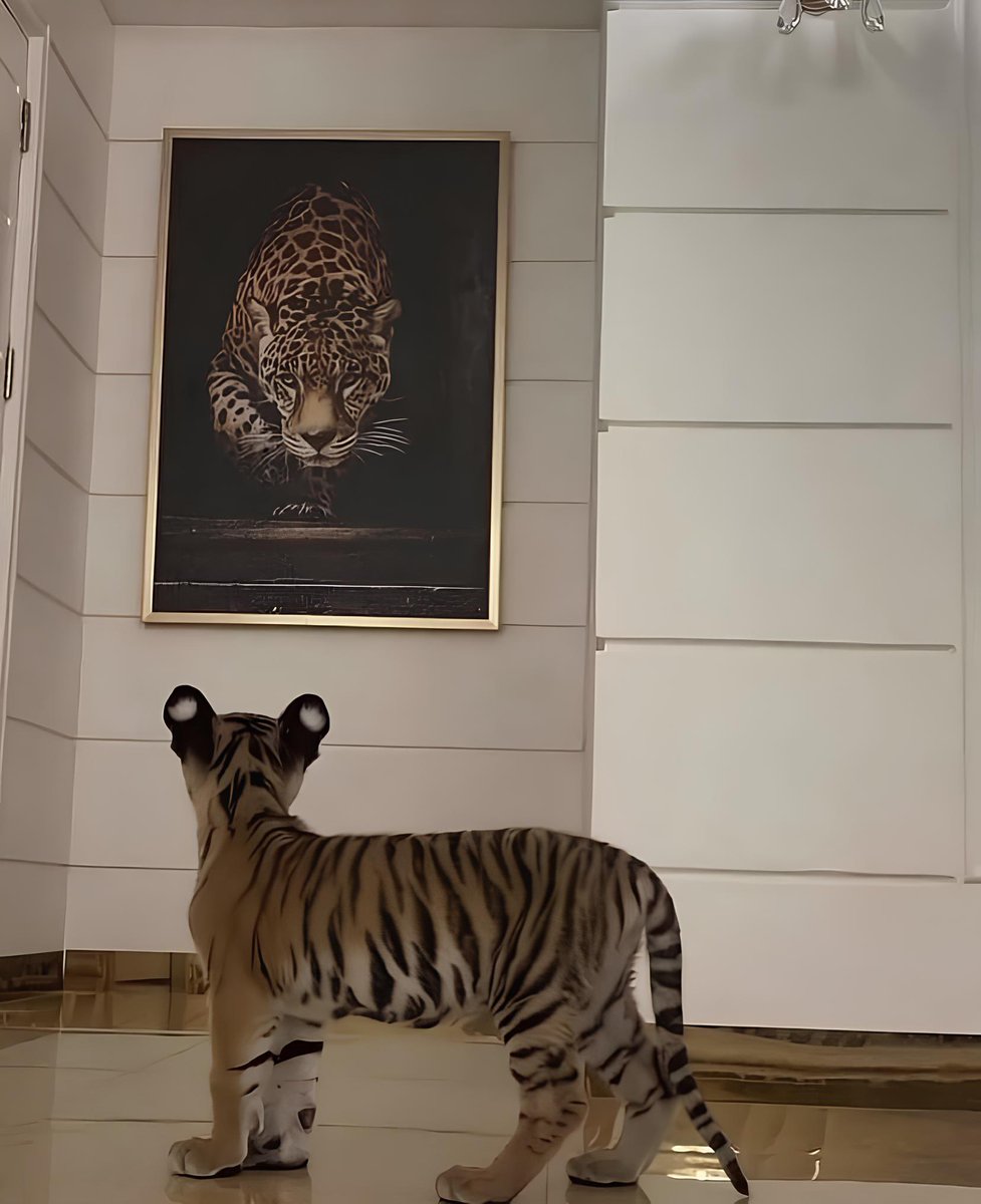 Blessed (@idblessd) on Twitter photo 