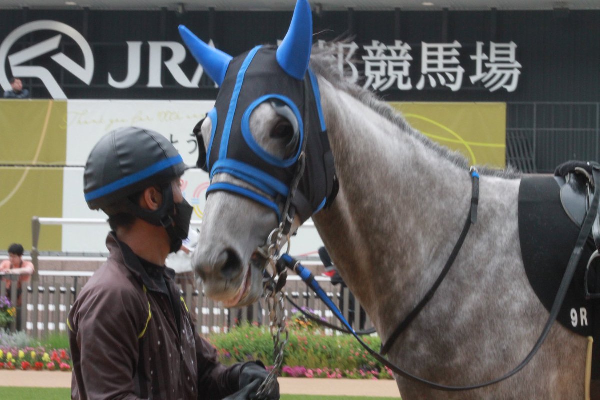 5umauma's tweet photo. 5.11🐴京都

イヤサカちゃん🎀今日もかわいかった❕お疲れ様です❕ https://t.co/on3KCSekuL