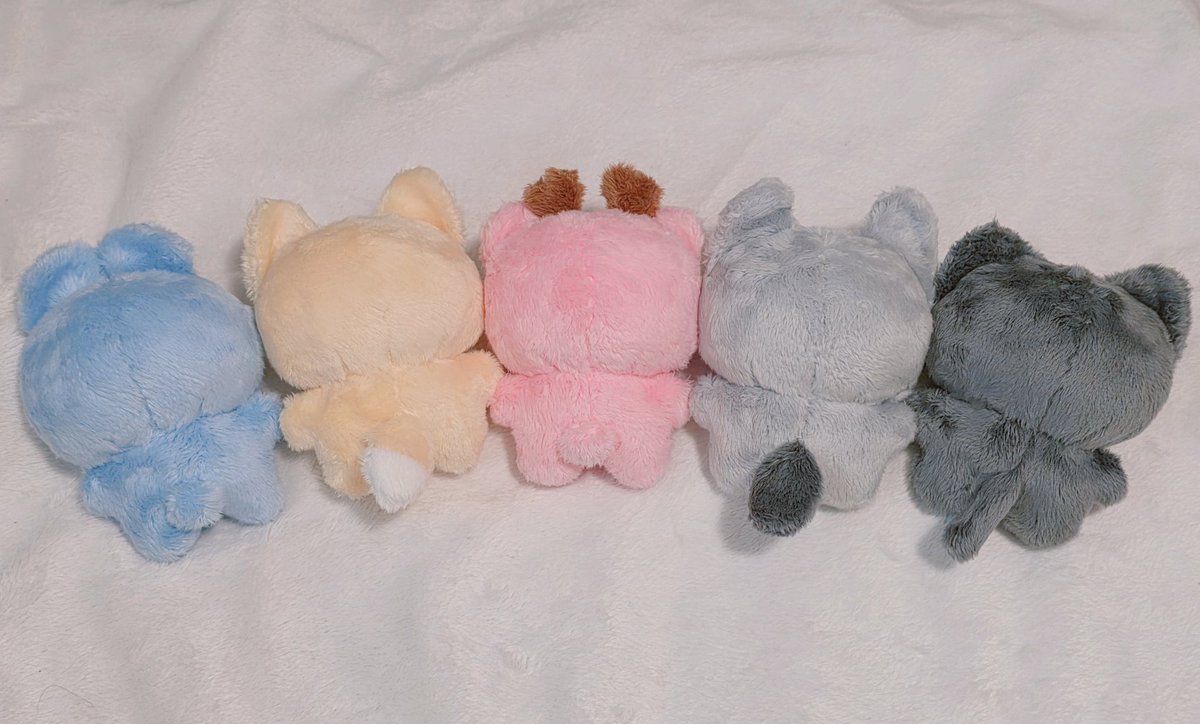 casey_wg98's tweet photo. #플롱하뜌 #플롱까꿍
찰푸닥 뒷태도 귀여운 플롱이🥰
사진보가 실물이 더 귀여워요 보송보송🫧 https://t.co/YvDcLkamZV