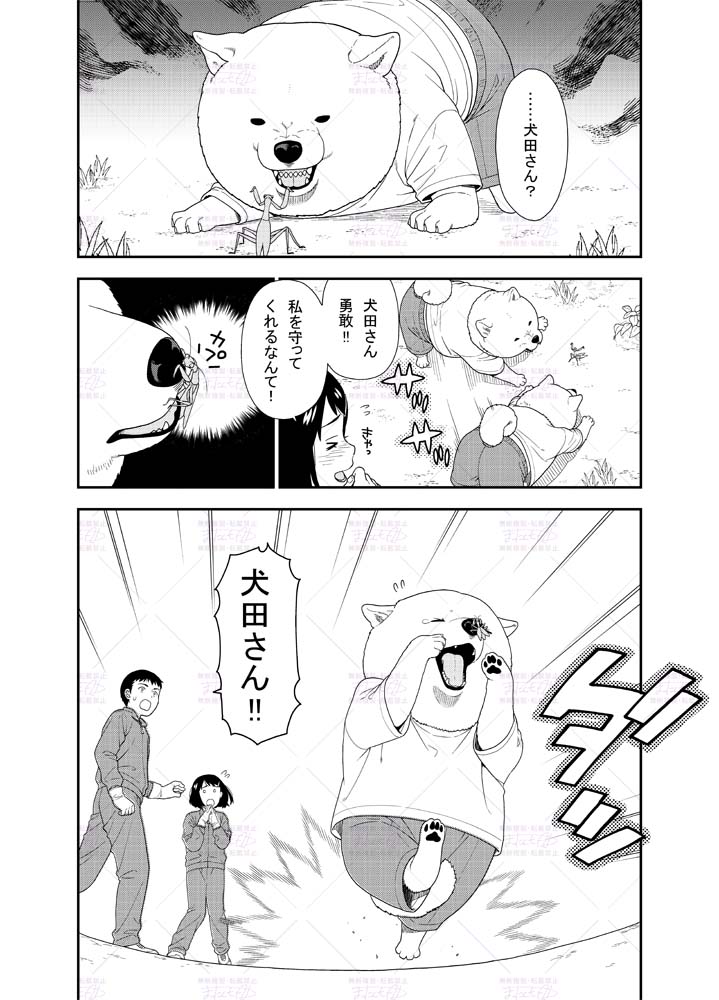 (2/2) 