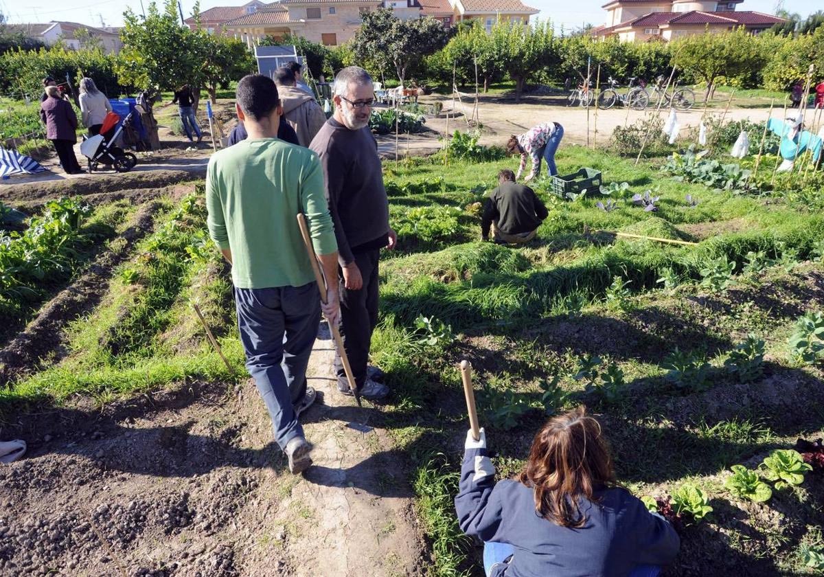 📢 El lunes día 12 de mayo se abre el plazo para optar a una de las 63 parcelas municipales libres destinadas a Huertos de Ocio.

centromedios.murcia.es/PUBLICO/NotaPr…