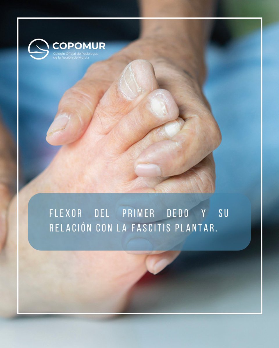 🦶 ¿Sabías que el Flexor del Primer Dedo podría estar relacionado con tu dolor de pies? 🤔
copomur.es/flexor-del-pri…

#FascitisPlantar #DolorDePies #SaludPodológica #FlexorPrimerDedo #CuidadoDeLosPies #COPOMUR