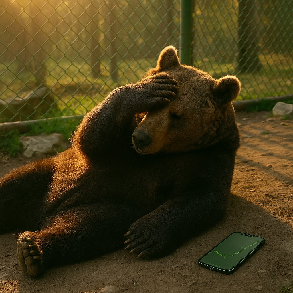 Free Baloo tweet media