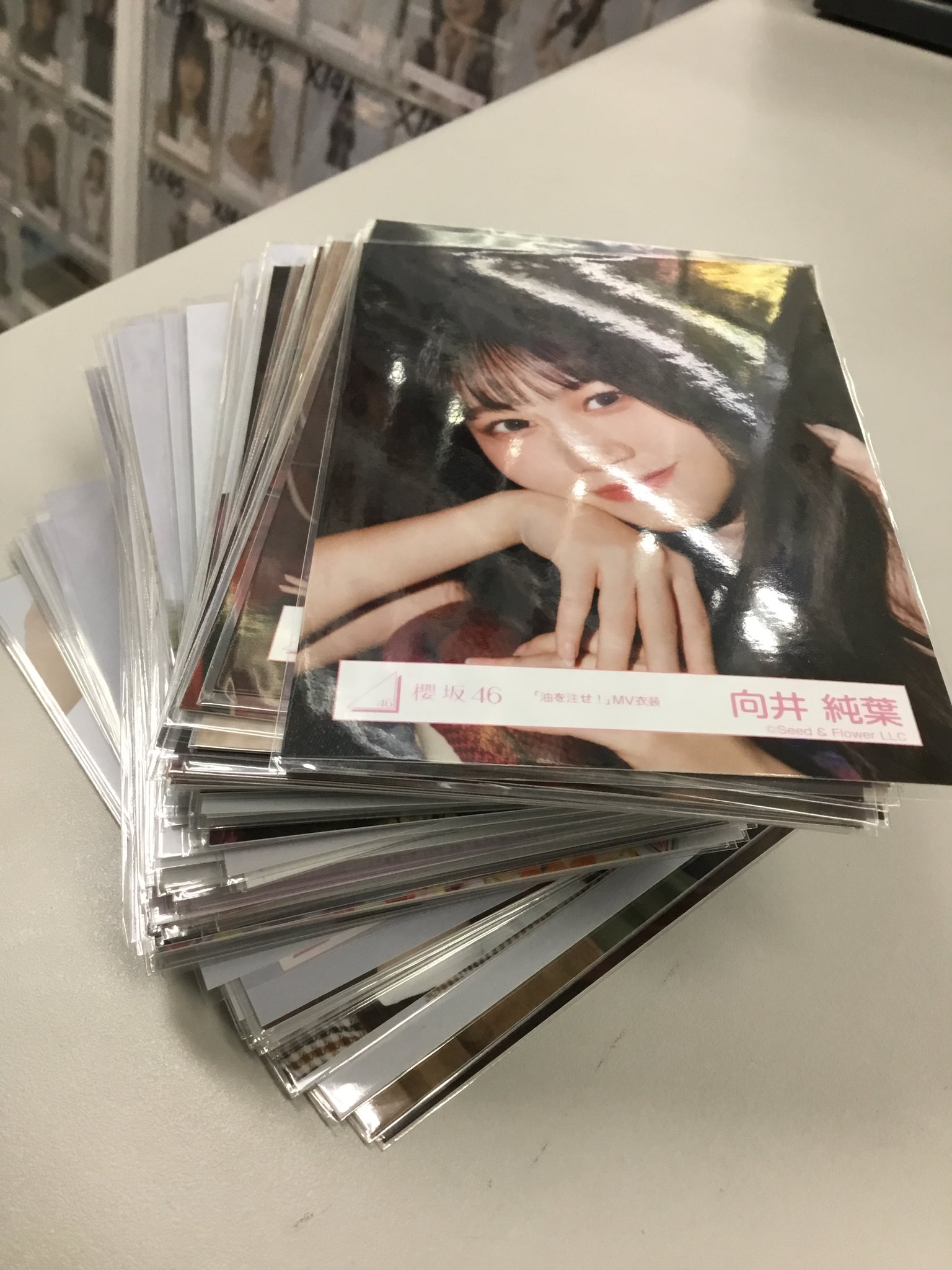 櫻坂46 向井純葉 生写真 コンプ まとめ売り 櫻坂46 生写真 向井純葉 まとめ売り - メルカリ
