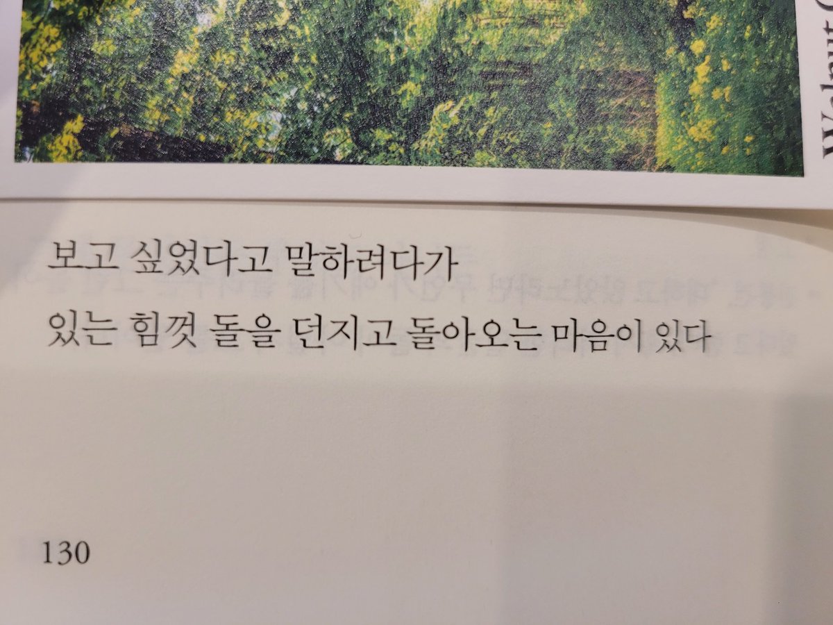 창비시선446 <여름언덕에서 배운 것> 안희연

보고 싶었다고 말하려다가
있는 힘껏 돌을 던지고 돌아오는 마음이 있다

 - '슈톨렌' 중에서-
ㅡㅡㅡㅡㅡㅡㅡㅡ
시향지는 훌륭한 책갈피임
며칠 전에 길 가다 받아서 끼워놓았는데 아직도 향긋하다

'슈톨렌'이 이 시집에 있는 시였네. 반가워라.