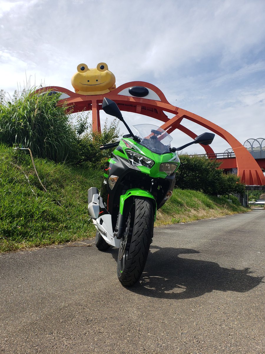 久々にバイク🏍️
カエルを見に行って来ました🐸